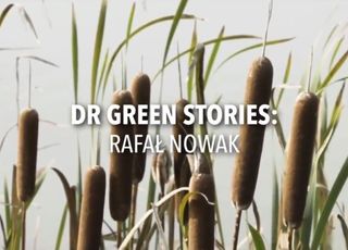 DR GREEN STORIES 6